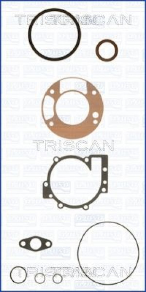 TRISCAN 595-80101 - Dichtungssatz, Kurbelgehäuse