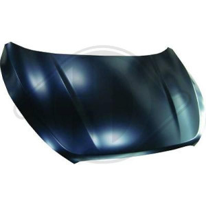 DIEDERICHS 6861000 - Motorhaube