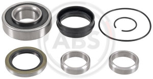 A.B.S. 201719 - Radlagersatz