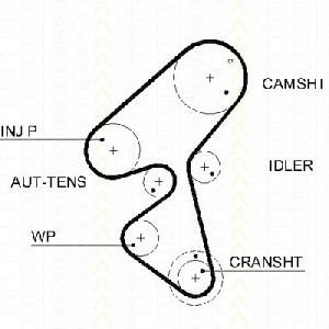 TRISCAN 86455587xs - Zahnriemen