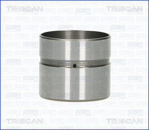 TRISCAN 80-43002 - Ventilstößel