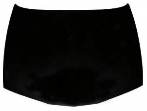 DIEDERICHS 2405000 - Motorhaube