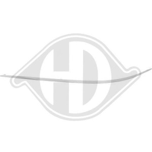 DIEDERICHS 1626065 - Zier-/Schutzleiste, Stoßfänger