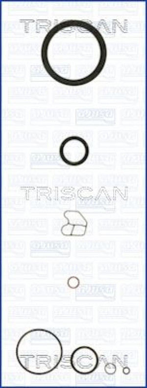 TRISCAN 595-85137 - Dichtungssatz, Kurbelgehäuse