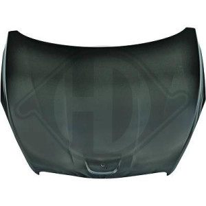 DIEDERICHS 4244000 - Motorhaube