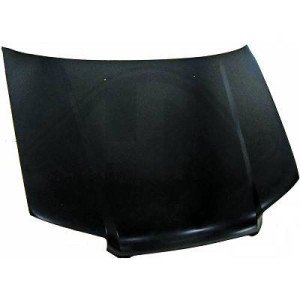 DIEDERICHS 6241000 - Motorhaube
