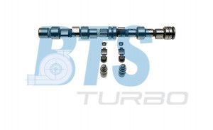 BTS Turbo CP62292 - Nockenwellensatz