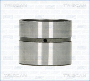 TRISCAN 80-24002 - Ventilstößel