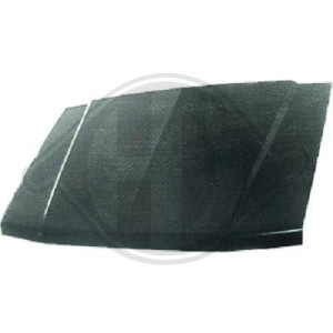DIEDERICHS 5841800 - Motorhaube