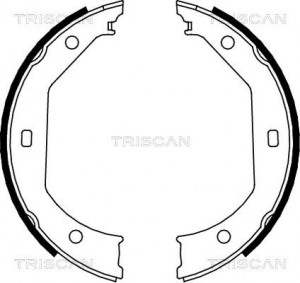 TRISCAN 810011638 - Bremsbackensatz