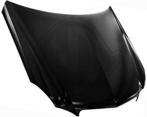 DIEDERICHS 1616000 - Motorhaube
