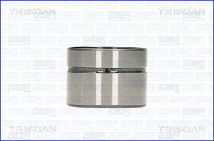 TRISCAN 80-10002 - Ventilstößel