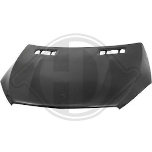 DIEDERICHS 1692100 - Motorhaube