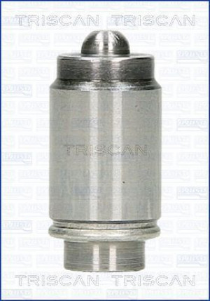 TRISCAN 80-23001 - Ventilstößel