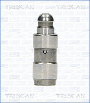 TRISCAN 80-8501 - Ventilstößel