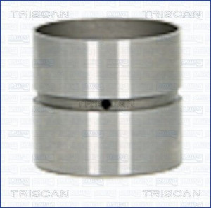 TRISCAN 80-25007 - Ventilstößel
