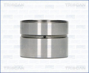 TRISCAN 80-29003 - Ventilstößel