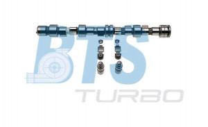 BTS Turbo CP62284 - Nockenwellensatz