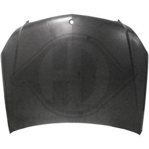 DIEDERICHS 1672100 - Motorhaube